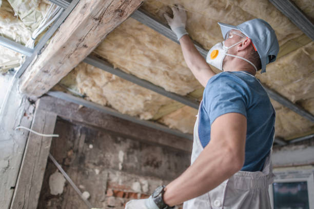 Best Spray Foam Insulation  in Milton, DE